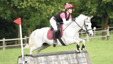 What are the Different Types of Jumps in Cross-Country Riding?