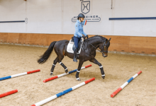 How Can Pole Bending Skills Be Improved?