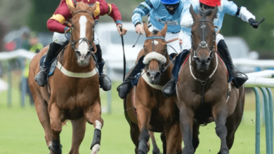 What are the biggest thoroughbred horse races in the world?