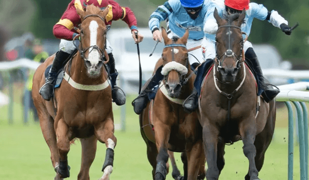 What are the biggest thoroughbred horse races in the world?