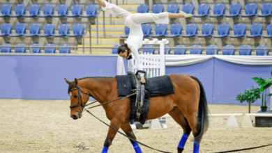 How can one learn equestrian vaulting?