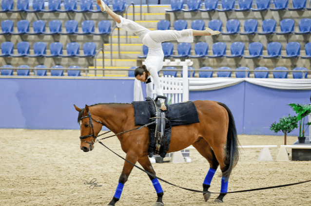 How can one learn equestrian vaulting?