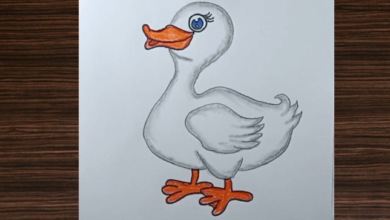 Drawing:Ojsatelui2m= Cute:0v3zhjmo01k= Duck