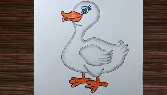 Drawing:Ojsatelui2m= Cute:0v3zhjmo01k= Duck