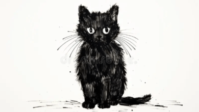 Simple:7prajd6aysm= Black Cat Drawing