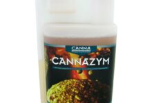 Exploring Cannazym