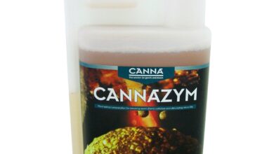 Exploring Cannazym