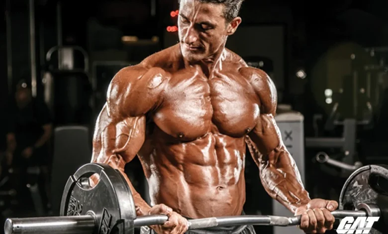 How Do Muscle-Building Compounds Work in the Body?