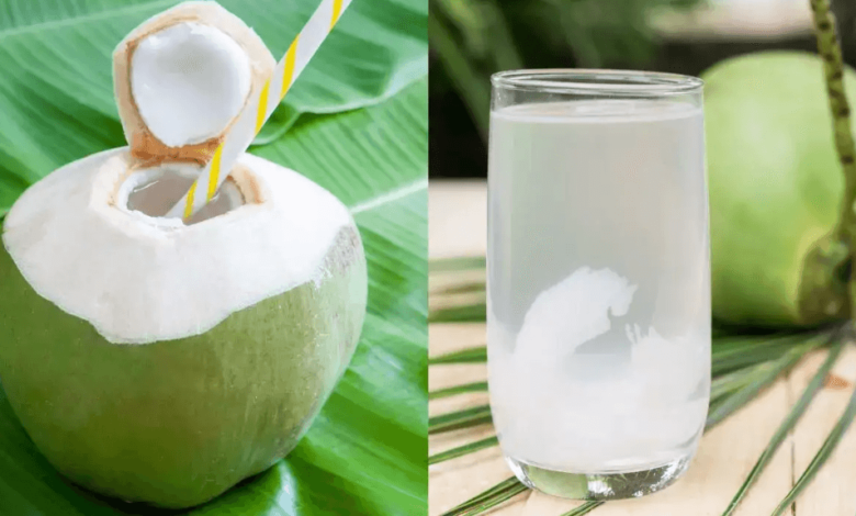 Why Buy Tender Coconut Online for Ultimate Convenience?