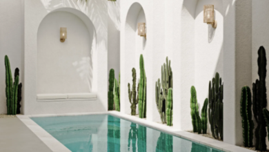 How to Create a Japanese Yard?