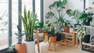 The Rise of Artificial Plants in Home Décor: Benefits and Trends