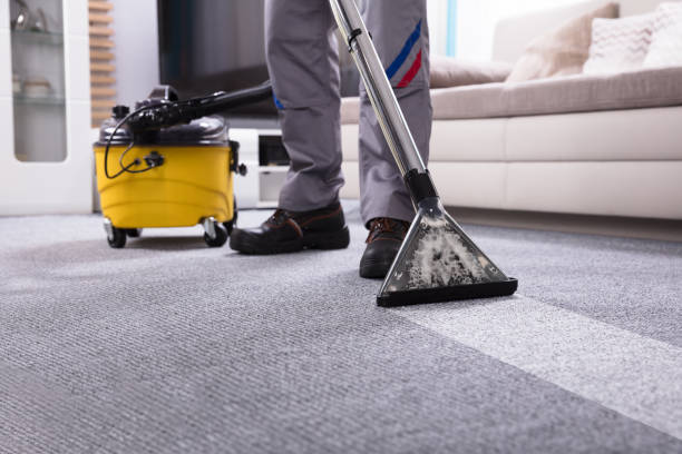 How Carpet Cleaning in North Shore Can Extend Your Carpet’s Life