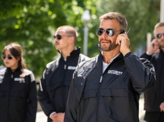 High Net Worth Individual Security: Smart Security for a High-profile ...
